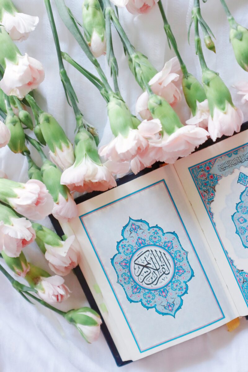 learn quran online for beginners