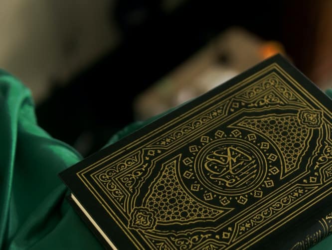 learn quran online