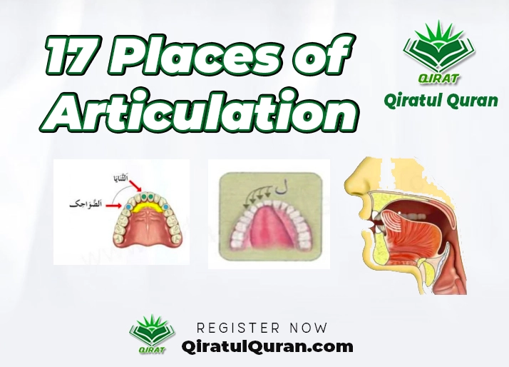 17 Places of Articulation
